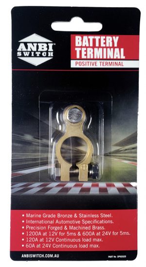 Battery Terminal – Positive
